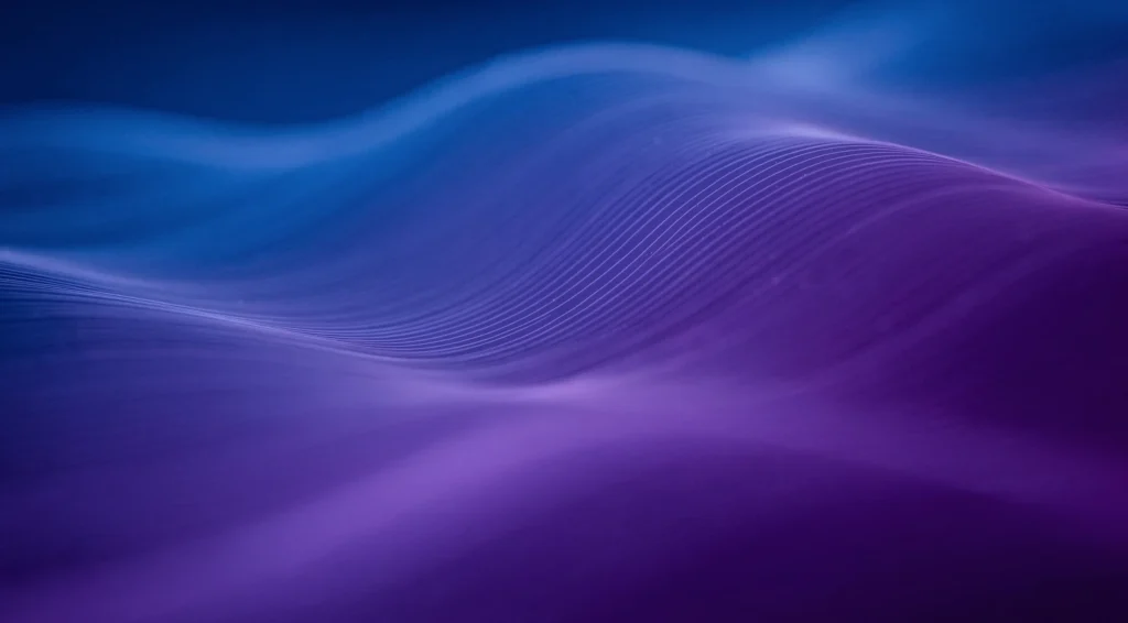 widoczność e-commerce